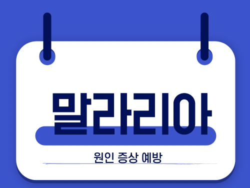 말라리아 원인 증상 예방