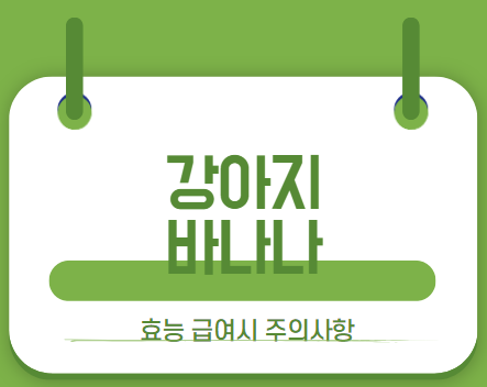 강아지바나나 썸네일