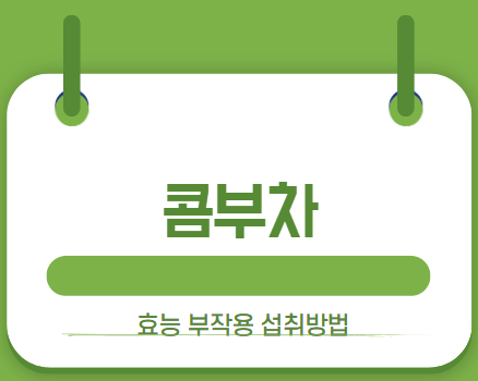콤부차 썸네일