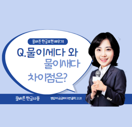 물이세다새다 썸네일