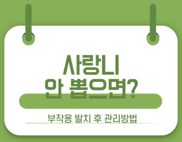 사랑니 안뽑으면 썸네일