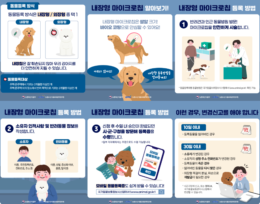 강아지 등록 방법