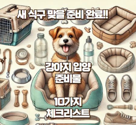 강아지 입양 준비물 썸네일
