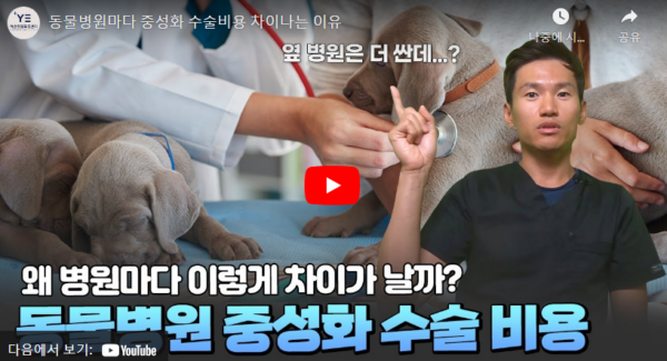 강아지 중성화 수술 비용