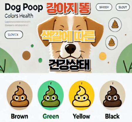 강아지 똥 상태 썸네일