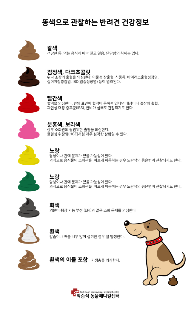 강아지 똥 상태
