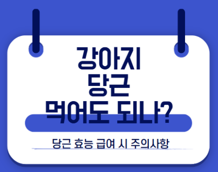강아지 당근 먹어도 되나
