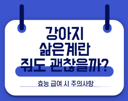 강아지 삶은계란 썸네일