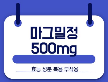 마그밀정 500mg
