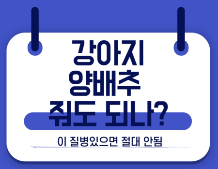 강아지 양배추1