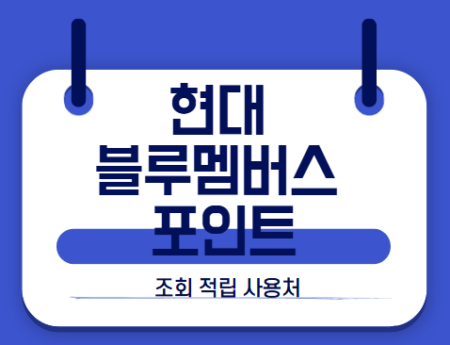 현대 블루멤버스 포인트