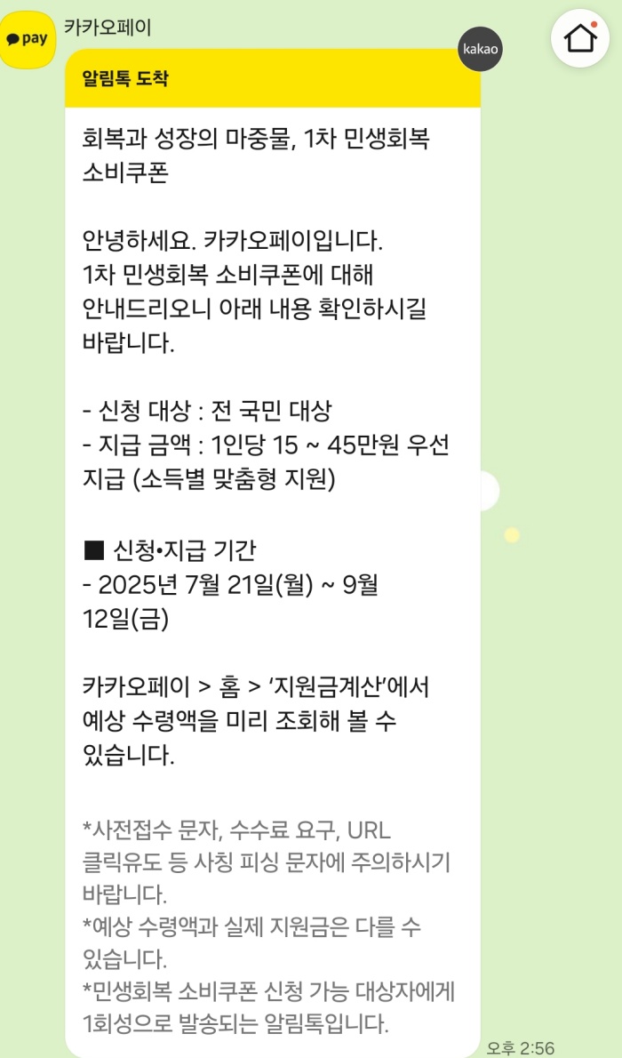 민생지원금 카카오뱅크페이