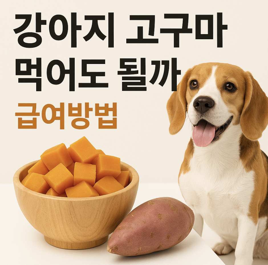 강아지 고구마 급여방법