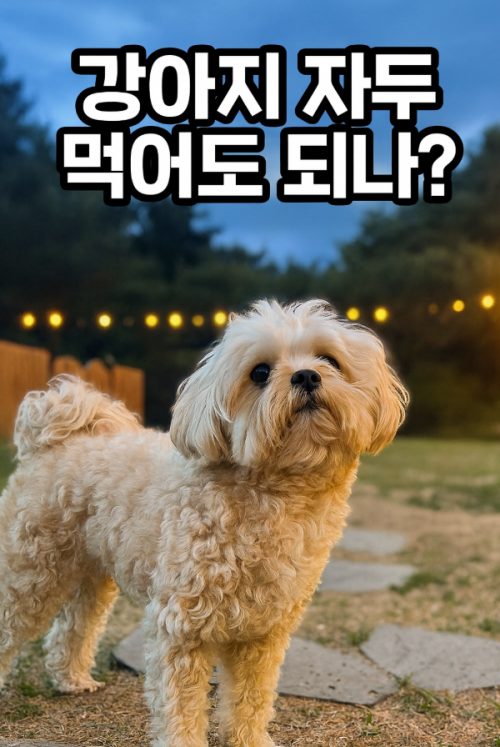 강아지 자두 급여방법