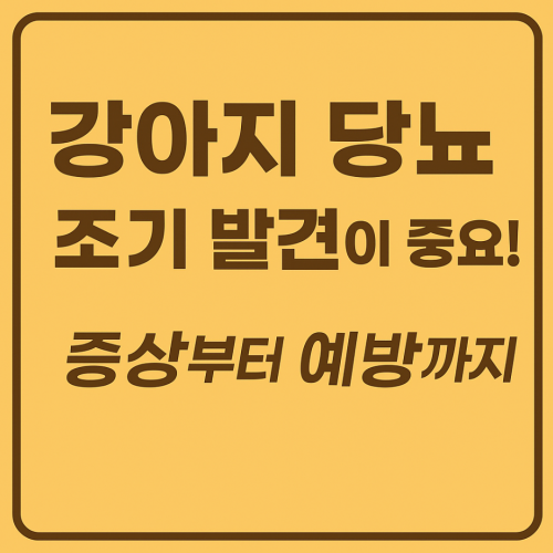강아지 당뇨