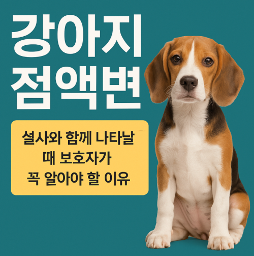 강아지 점액변