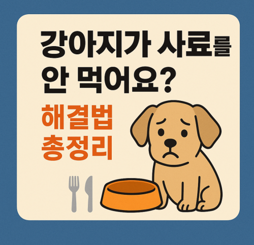 강아지 사료를 안먹어요