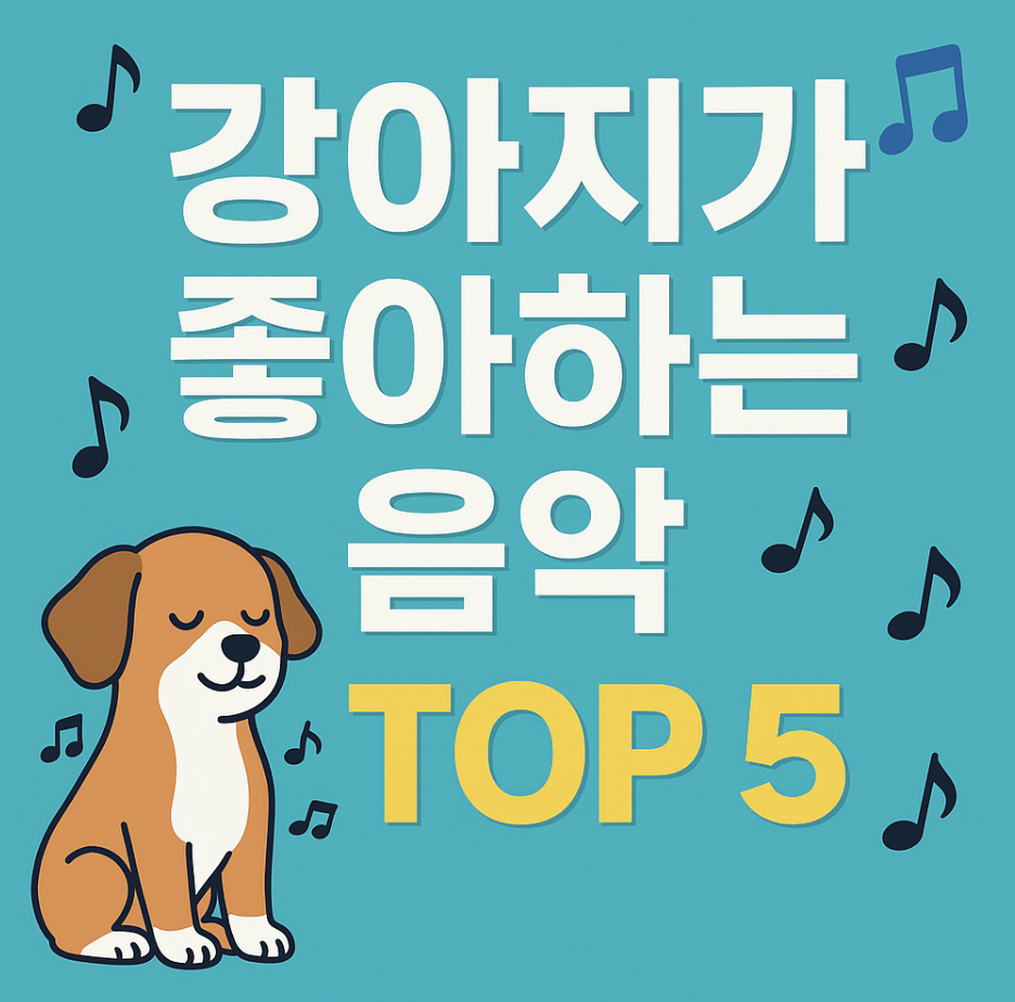 강아지가 좋아하는음악
