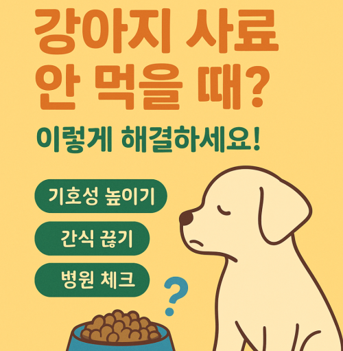 강아지 사료 안먹을때