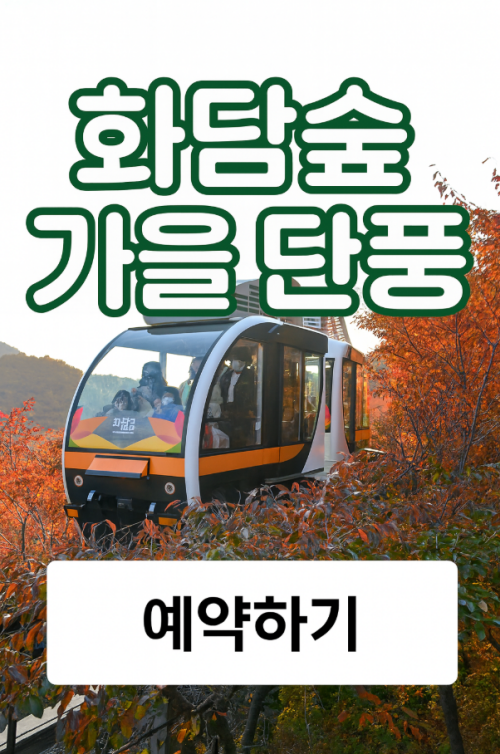 화담숲가을단풍축제에약