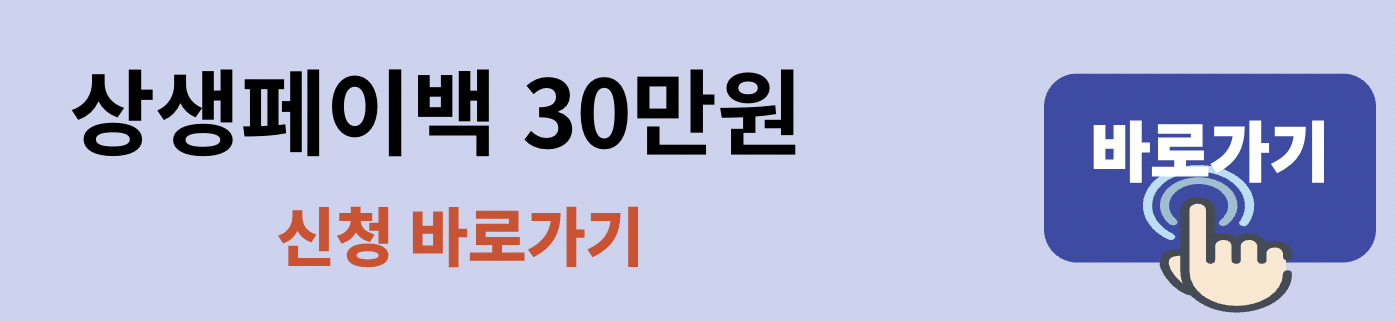 정부 상생페이백 신청